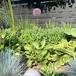 Weberhof - 3 Apartment *