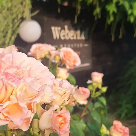 Weberhof - 3 ミュンスター