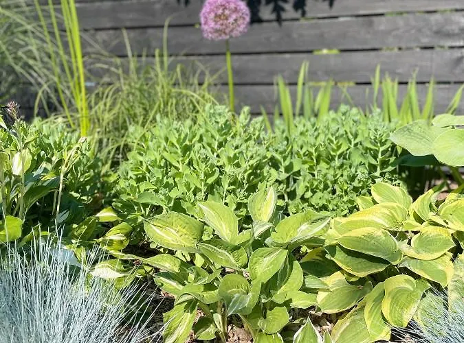 Weberhof - 3 Apartment *